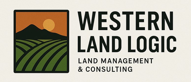 Untitled design (1).png