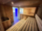 wellness (2)