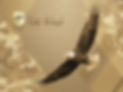 لقطة شاشة 2025-12-21 145811.png