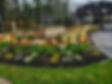 Top Of Landscape Page.jpg