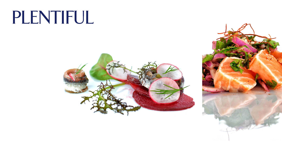 Jumeirah Brand Identity Evolution_Page_1