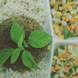 Tortinha de lentilha, arrpz integral e salada primavera!  Mais uma delícia saudável desta semana!! S