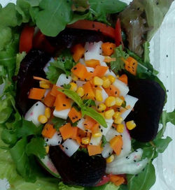 De segunda à sexta uma salada completa para você! _SEXTA Nutritiva_ _Compõe__ Mix de folhas, tomate,
