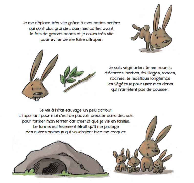 Miniature : Un lapin si gentil, version numérique