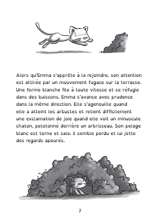 Miniature : Petit chat qui n'aime pas le froid