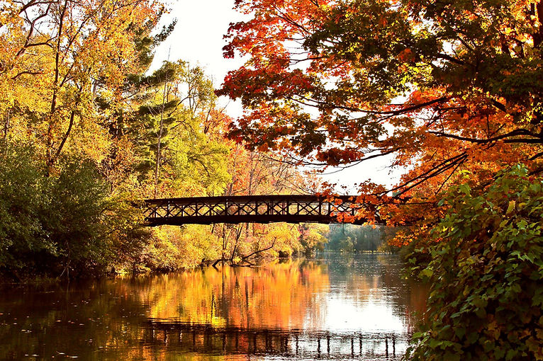 bridge in Williamston.jpg
