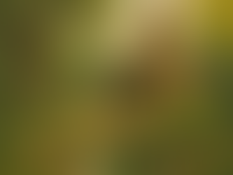 Harmony of Faith and Nature in Temple Design