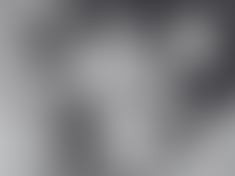 “What helps your pet feel most safe and comforted?”