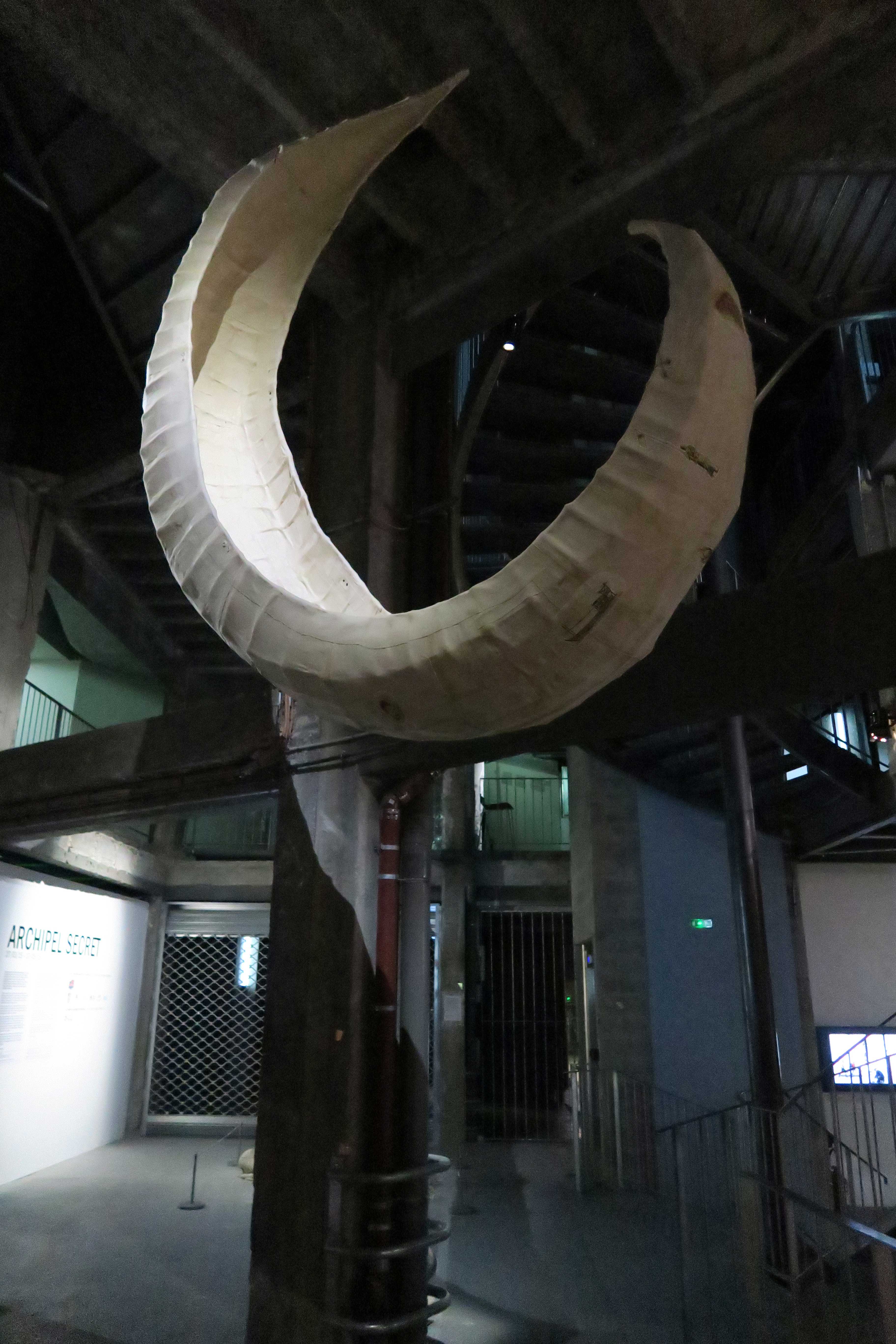 SECRET ARCHIPELAGO PALAIS DE TOKYO