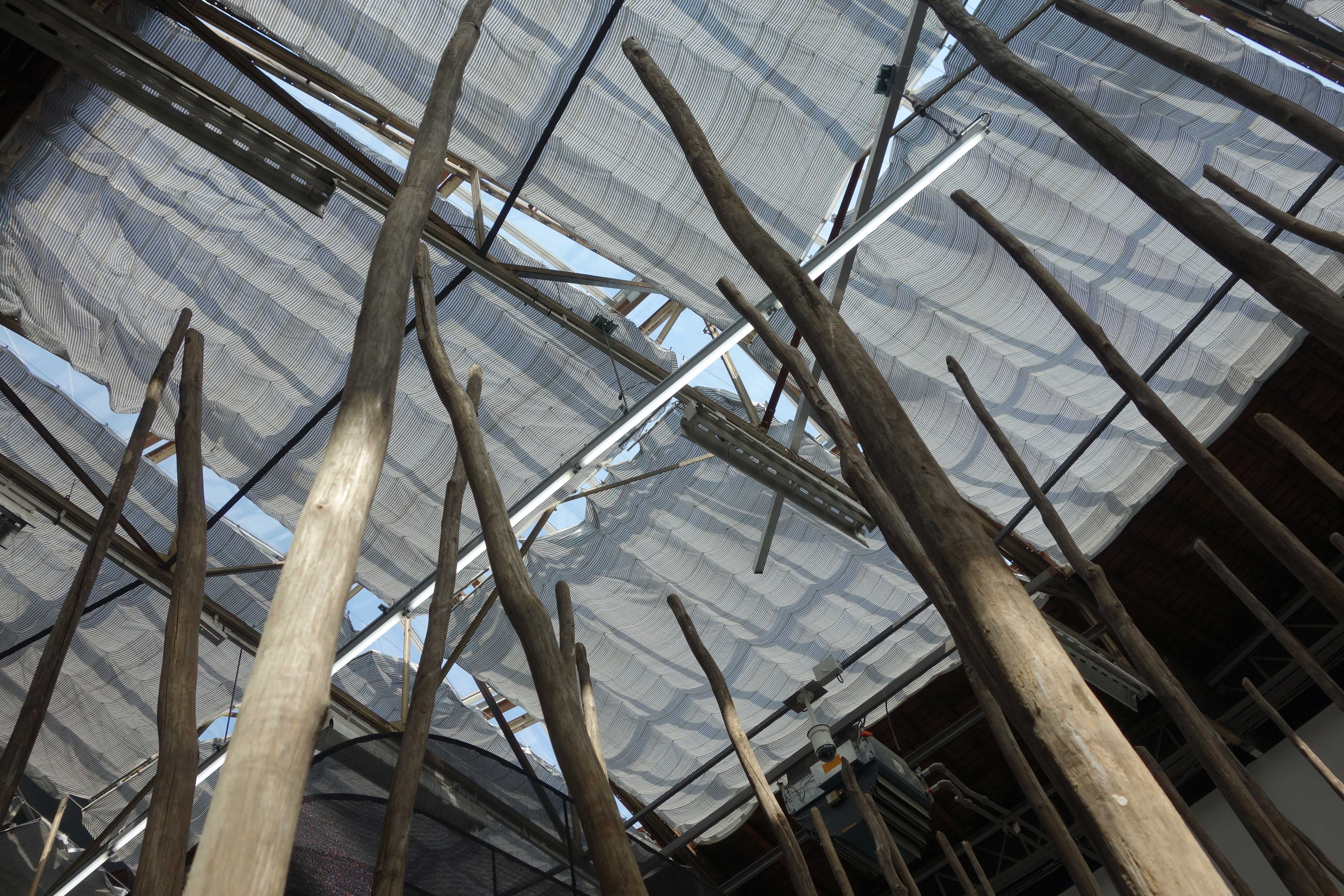 NOUVELLE VAGUES, Palais de Tokyo