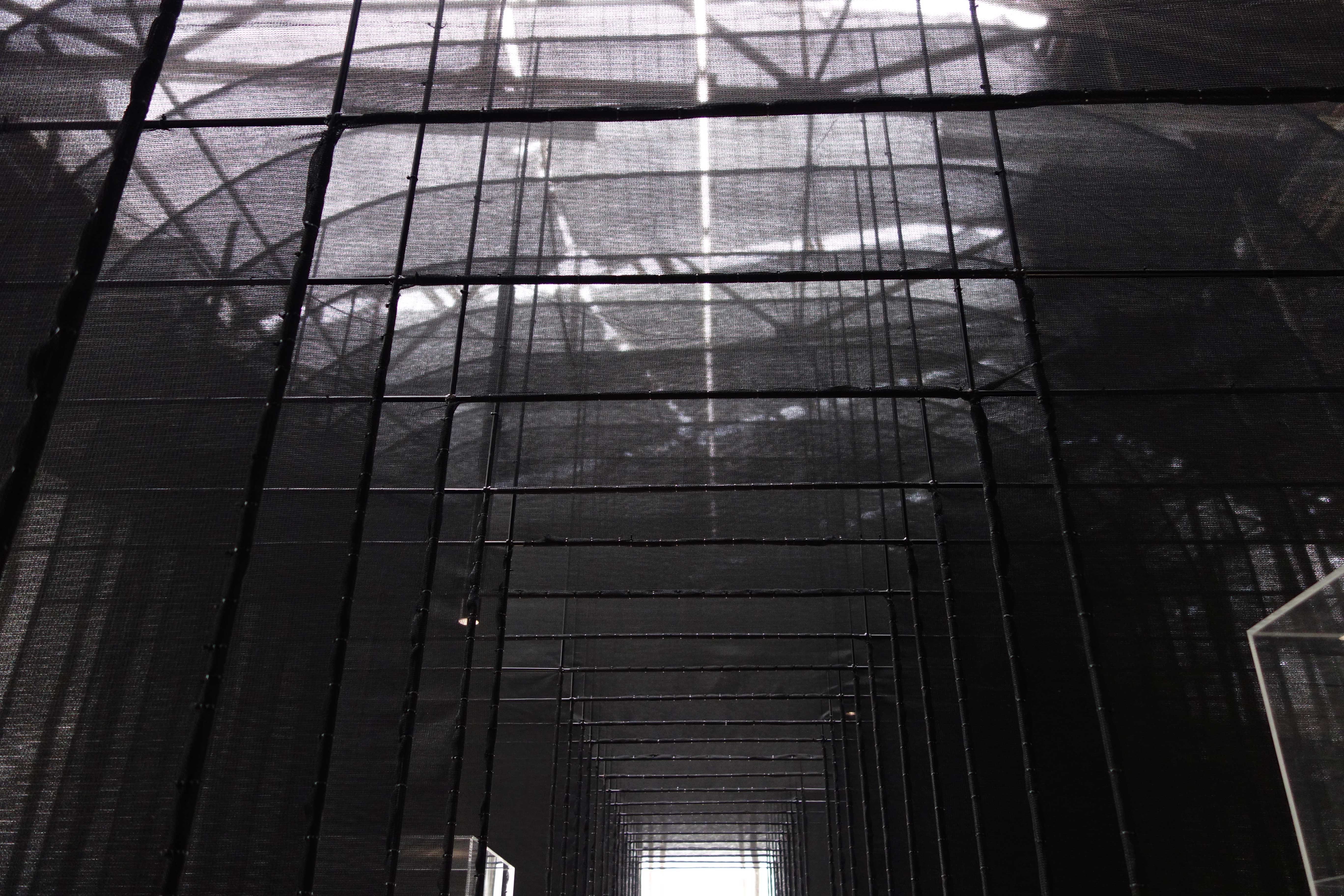 NOUVELLE VAGUES, Palais de Tokyo