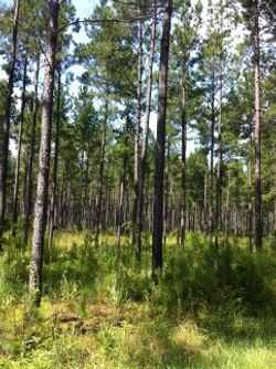 1450578805296_edited