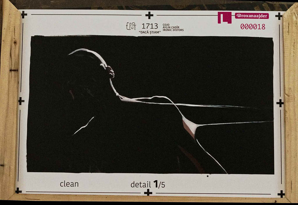 Miniatură: Blondie-1713