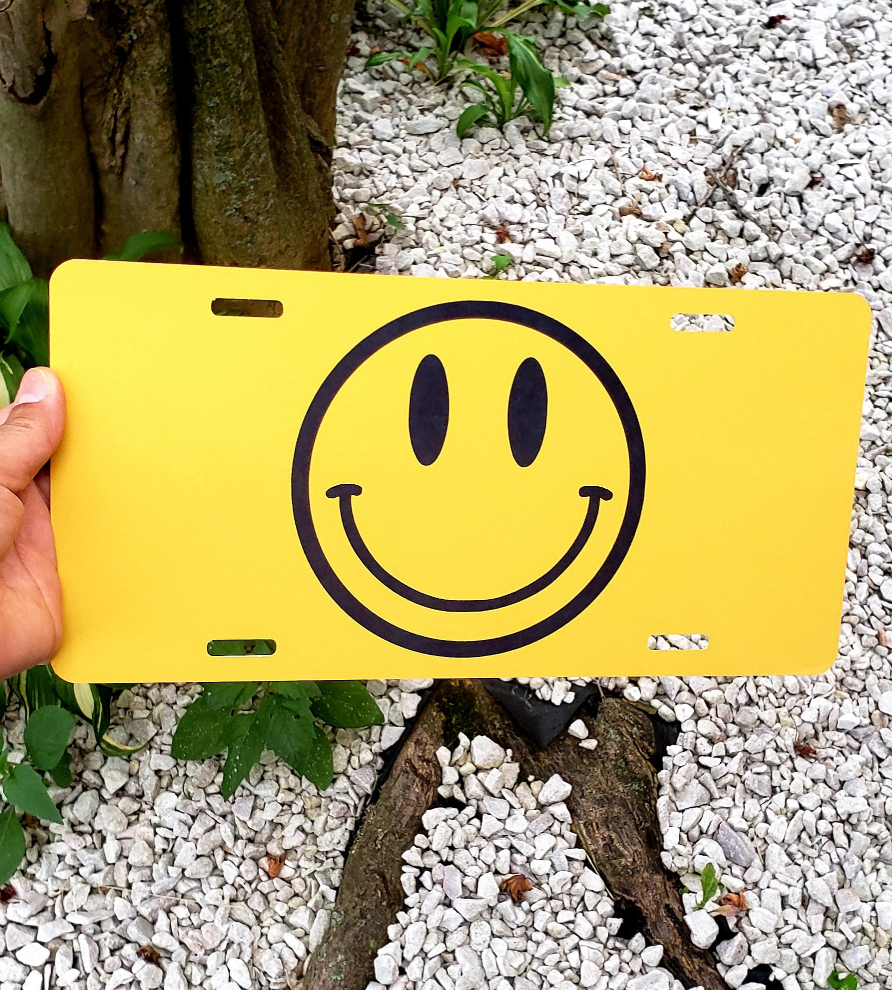 Customize License Plates