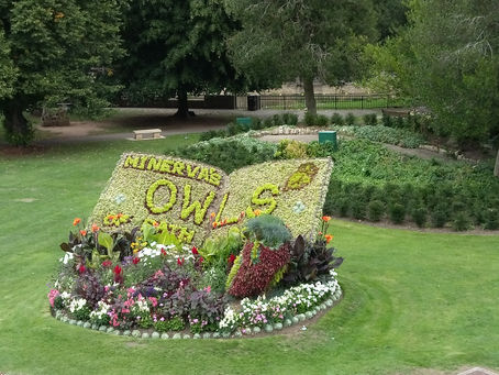 Minerva owl trail -Bath