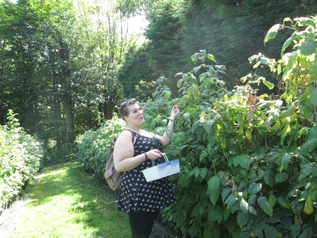 Hendrewenoll - Fruit picking !