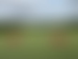 ALL4U Family Fun Day...