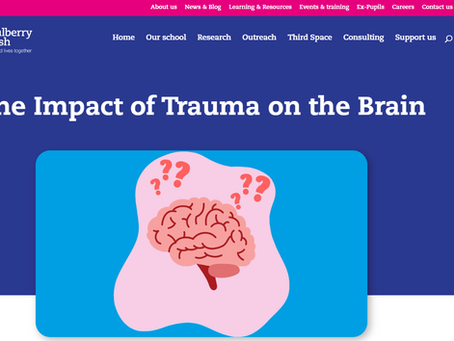 Â Trauma Can Reshape the Brain