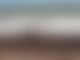 Summer holiday fun...