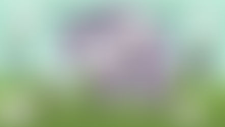 Your Problems Are Just Unseen Opportunities