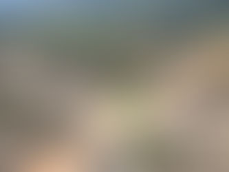 Representantes do Poder Executivo e Legislativo de Cotriguaçu viajam em busca de recursos