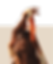 Eva Roets.png