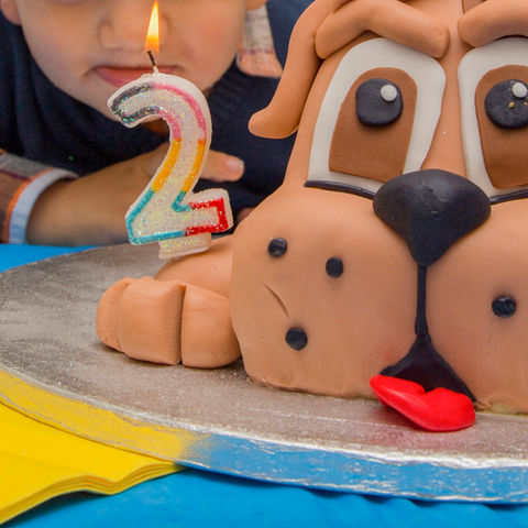 age-anniversary-background-birthday-cake-candle-chocolate-closeup-colorful-cream-delicious