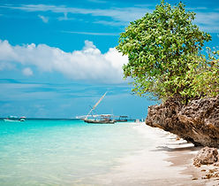 Zanzibar île paradisiaque plongée snorkeling
