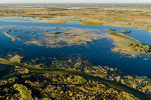 botswana-delta-de-l-okavango.jpg