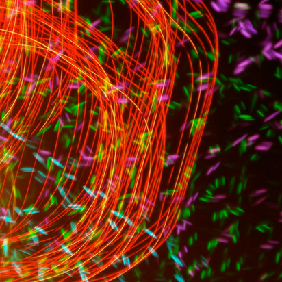 Light Painting