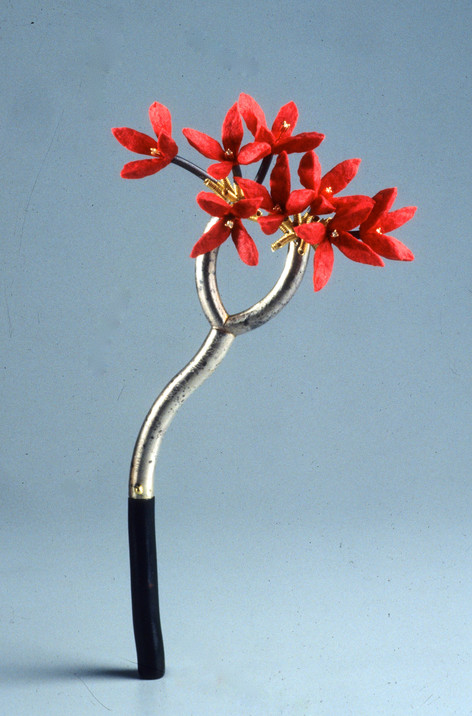 Image11
