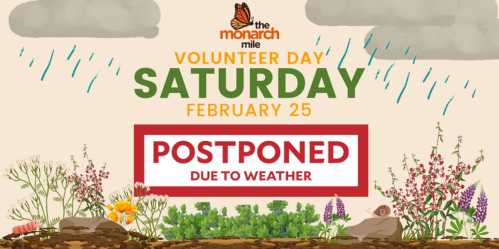 Volunteer Day with The Monarch Mile