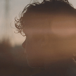 August closeup 1 x 1.gif