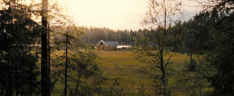 A cottage hidden deep in the forest