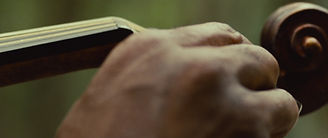 The violin