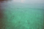 IMG_1654.jpeg