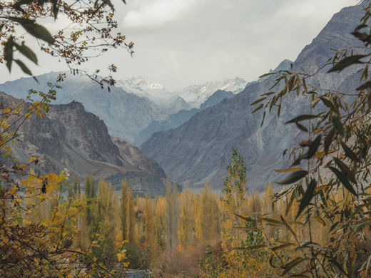 Top 7 Breathtaking Valleys in Ladakh You Must Explore 