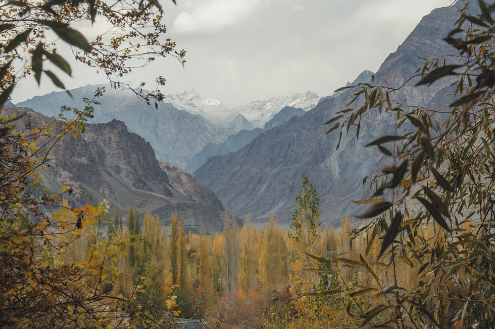 Documenting the Valleys of Ladakh