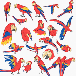 250414 - Macaw Studies.png