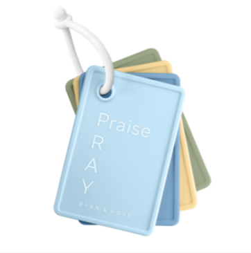 Prayer Warrior - PRAY Flash Cards