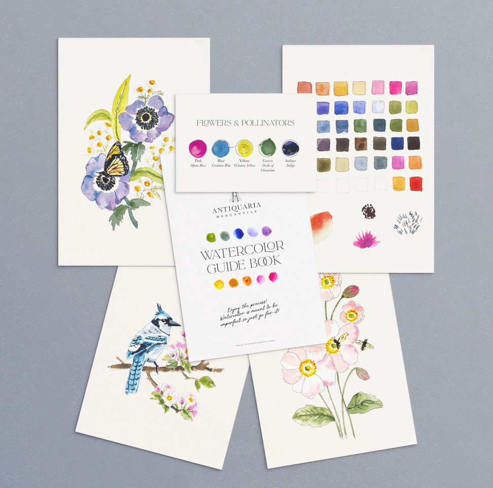 Antiquaria Watercolor Kit: Friend of the Pollinators