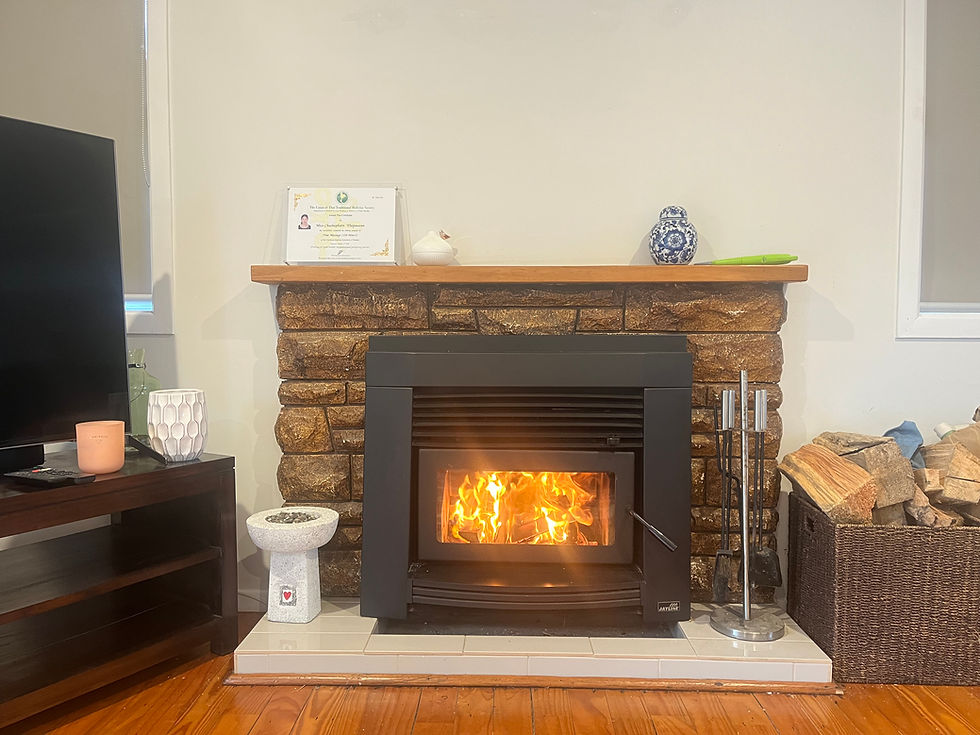 wood burner