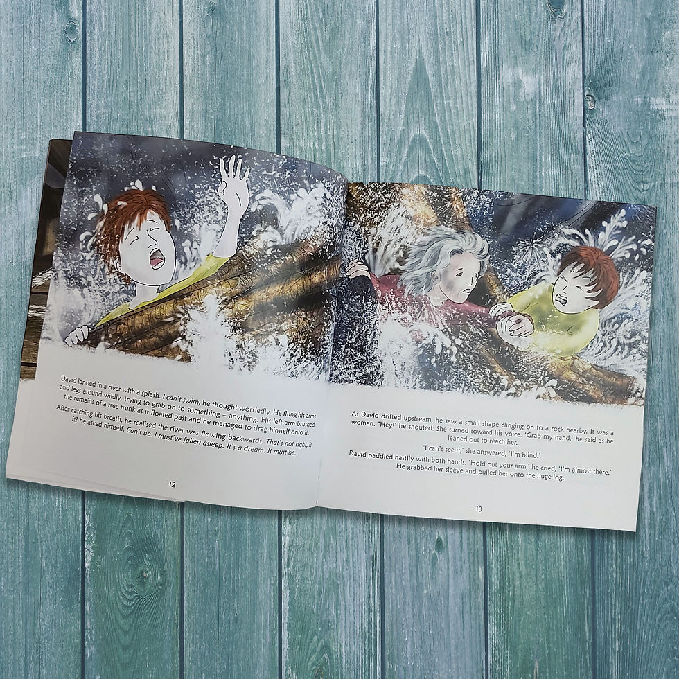Thumbnail: A Cumbrian Prince picturebook