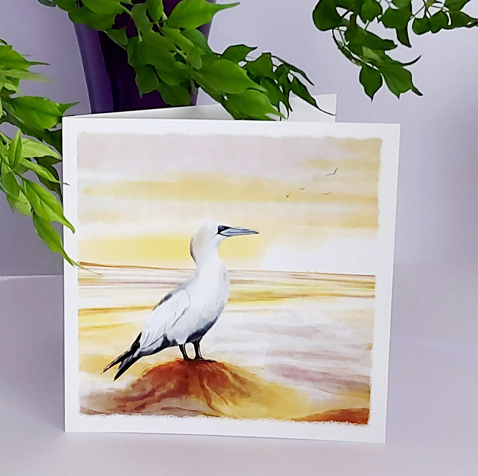 Thumbnail: 6 pack of seabird cards
