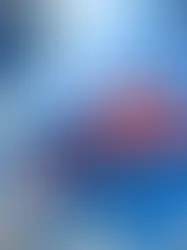 Định Cư Mỹ Diện Nào Dễ Nhất? Chọn Đúng Lộ Trình Theo Hồ Sơ