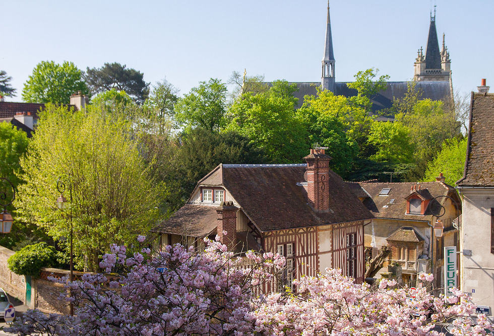 Maison médiévale, église en arrière-plan, fleurs de cerisier