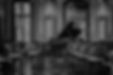 background-min.jpg