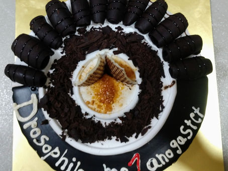 Lab Celebrates its first year!
