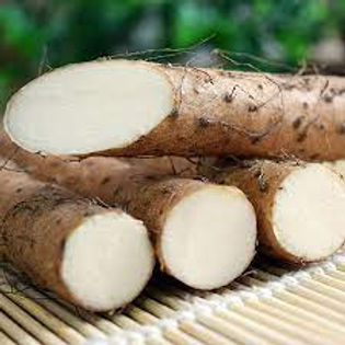 Wild Yam root - Dioscorea villosa 100g