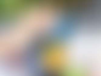 High Rise Grows THC Beverages at Off- and On-Premise Retailers Across 20 States